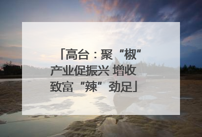 高台：聚“椒”产业促振兴 增收致富“辣”劲足