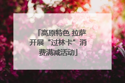 高原特色 拉萨开展“过林卡”消费满减活动