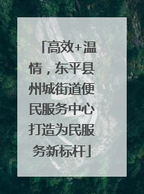 高效+温情，东平县州城街道便民服务中心打造为民服务新标杆