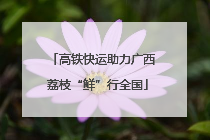 高铁快运助力广西荔枝“鲜”行全国