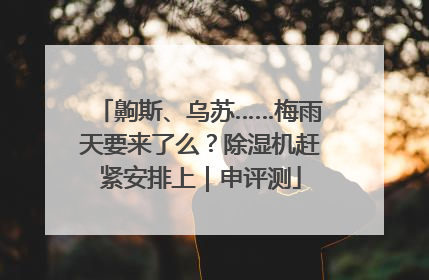 齁斯、乌苏……梅雨天要来了么？除湿机赶紧安排上｜申评测