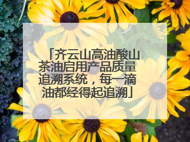 齐云山高油酸山茶油启用产品质量追溯系统，每一滴油都经得起追溯