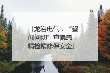 龙岩电气：“望闻问切”查隐患 精检精修保安全