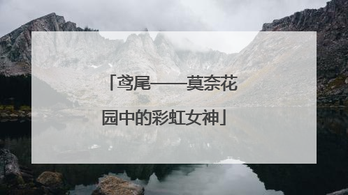 鸢尾——莫奈花园中的彩虹女神