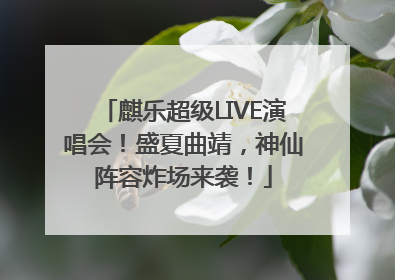 麒乐超级LIVE演唱会！盛夏曲靖，神仙阵容炸场来袭！