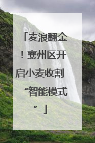 麦浪翻金！襄州区开启小麦收割“智能模式”