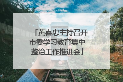 黄喜忠主持召开市委学习教育集中整治工作推进会