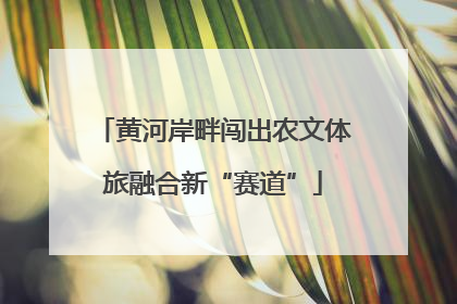 黄河岸畔闯出农文体旅融合新“赛道”
