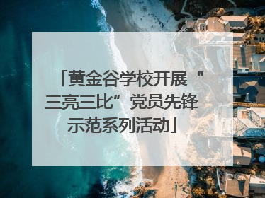 黄金谷学校开展“三亮三比”党员先锋示范系列活动