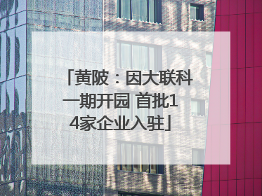黄陂：因大联科一期开园 首批14家企业入驻