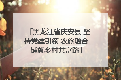 黑龙江省庆安县 坚持党建引领 农旅融合铺就乡村共富路