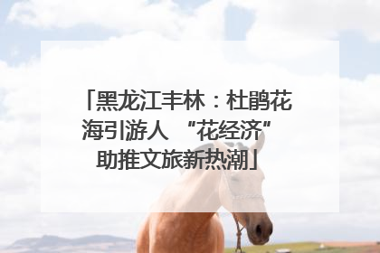 黑龙江丰林：杜鹃花海引游人 “花经济”助推文旅新热潮