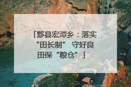 黟县宏潭乡：落实“田长制” 守好良田保“粮仓”