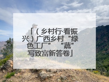 （乡村行·看振兴）广西乡村“绿色工厂” “蔬”写致富新答卷