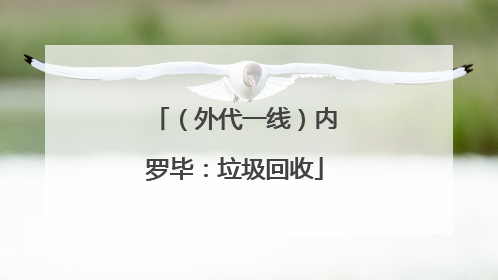 （外代一线）内罗毕：垃圾回收