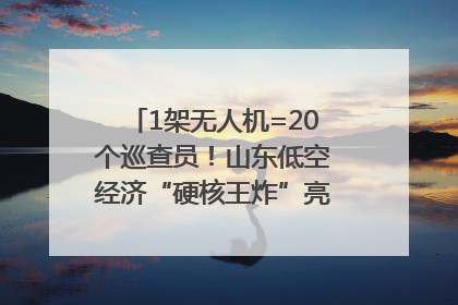 1架无人机=20个巡查员！山东低空经济“硬核王炸”亮相青岛，下一个万亿赛道藏在这里