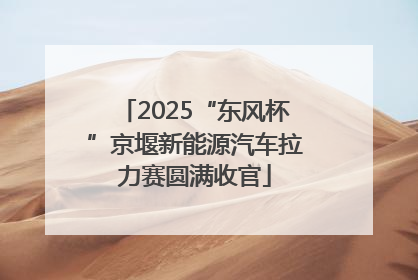 2025“东风杯”京堰新能源汽车拉力赛圆满收官