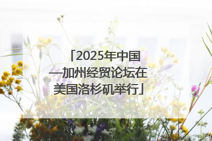2025年中国—加州经贸论坛在美国洛杉矶举行