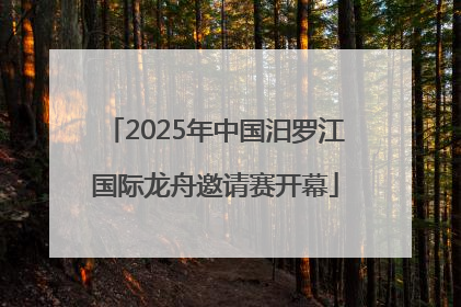 2025年中国汨罗江国际龙舟邀请赛开幕