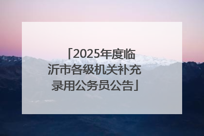 2025年度临沂市各级机关补充录用公务员公告