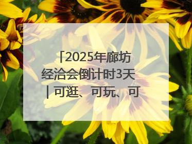 2025年廊坊经洽会倒计时3天｜可逛、可玩、可购，快来6街16巷逛市集