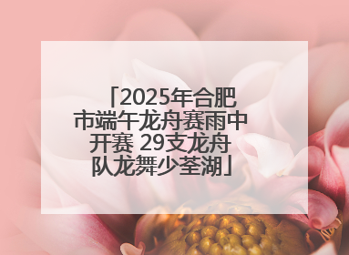 2025年合肥市端午龙舟赛雨中开赛 29支龙舟队龙舞少荃湖