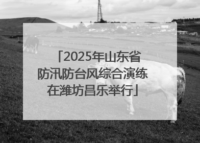 2025年山东省防汛防台风综合演练在潍坊昌乐举行