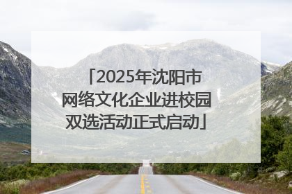 2025年沈阳市网络文化企业进校园双选活动正式启动
