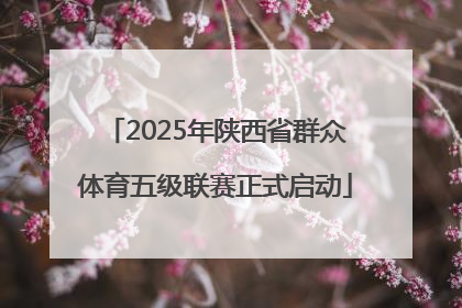 2025年陕西省群众体育五级联赛正式启动