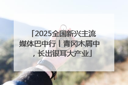 2025全国新兴主流媒体巴中行丨青冈木屑中，长出银耳大产业