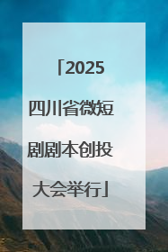2025四川省微短剧剧本创投大会举行