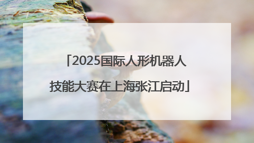 2025国际人形机器人技能大赛在上海张江启动