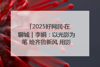 2025好网民·在聊城｜李娟：以光影为笔 绘齐鲁新风 用影视作品传递正能量