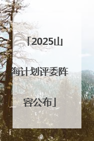 2025山海计划评委阵容公布