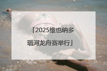 2025维也纳多瑙河龙舟赛举行