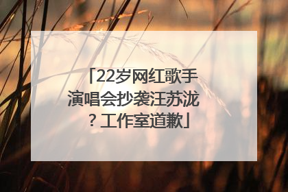 22岁网红歌手演唱会抄袭汪苏泷？工作室道歉