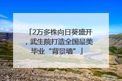 2万多株向日葵盛开，武生院打造全国最美毕业“背景墙”