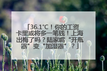 36.1℃！你的工资卡里或将多一笔钱！上海出梅了吗？陆家嘴“开瓶器”变“加湿器”？