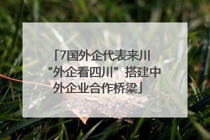 7国外企代表来川 “外企看四川”搭建中外企业合作桥梁