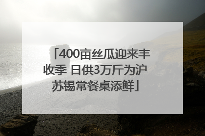 400亩丝瓜迎来丰收季 日供3万斤为沪苏锡常餐桌添鲜