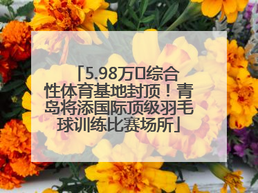 5.98万㎡综合性体育基地封顶！青岛将添国际顶级羽毛球训练比赛场所