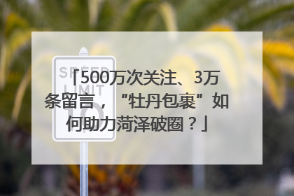 500万次关注、3万条留言，“牡丹包裹”如何助力菏泽破圈？