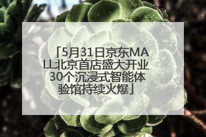 5月31日京东MALL北京首店盛大开业 30个沉浸式智能体验馆持续火爆