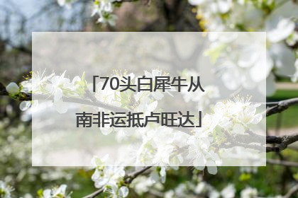 70头白犀牛从南非运抵卢旺达