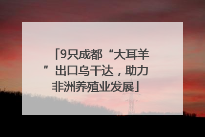 9只成都“大耳羊”出口乌干达，助力非洲养殖业发展