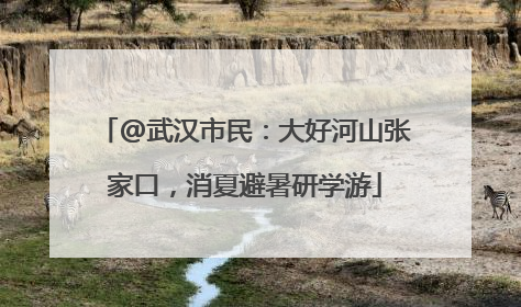 @武汉市民：大好河山张家口，消夏避暑研学游