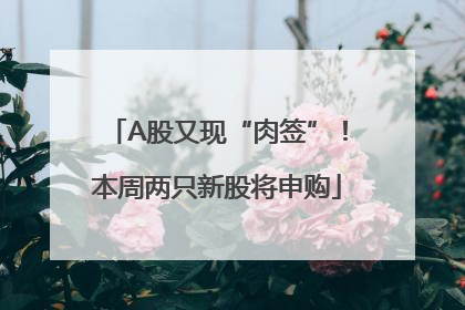 A股又现“肉签”！本周两只新股将申购