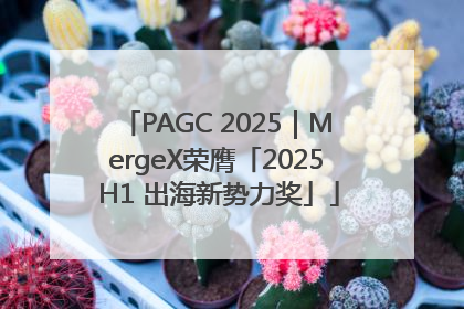 PAGC 2025｜MergeX荣膺「2025 H1 出海新势力奖」